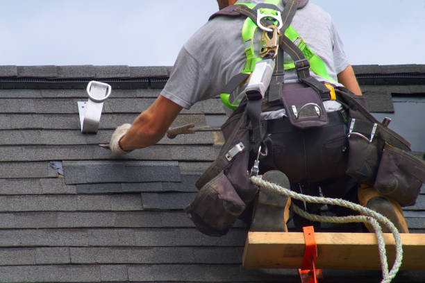 Best Residential Roofing Contractor  in Fennville, MI
