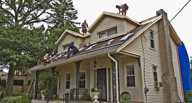 Best Roof Maintenance Services  in Fennville, MI