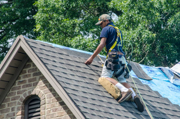 Best Roof Replacement Cost  in Fennville, MI